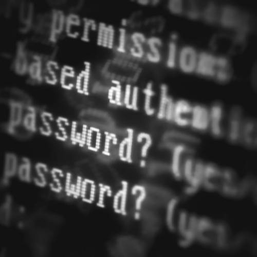 it-sikkerhed passwords